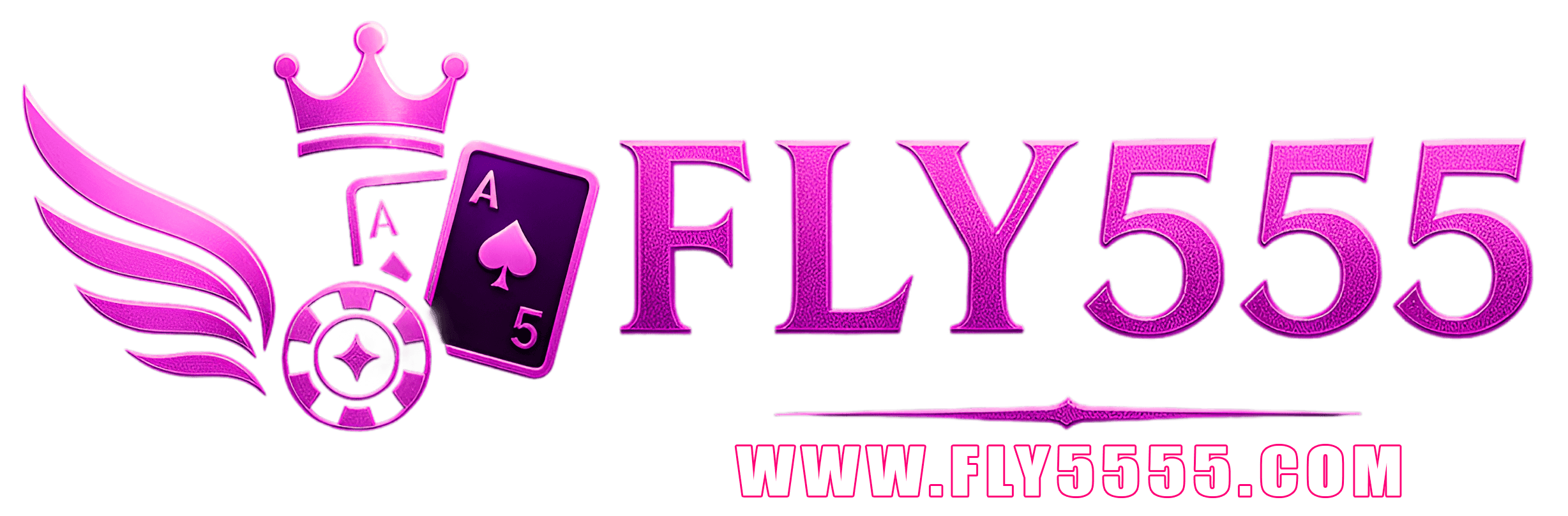 fly5555